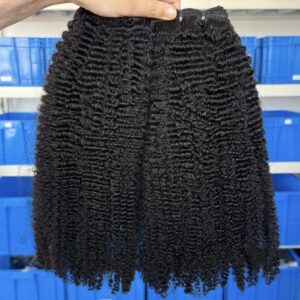 Virgin Remy | Kinky Curly | Human Hair Bundle